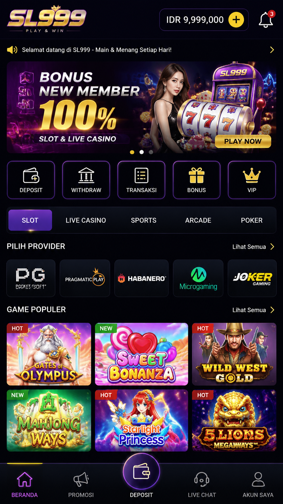 Screenshot 2 sl999